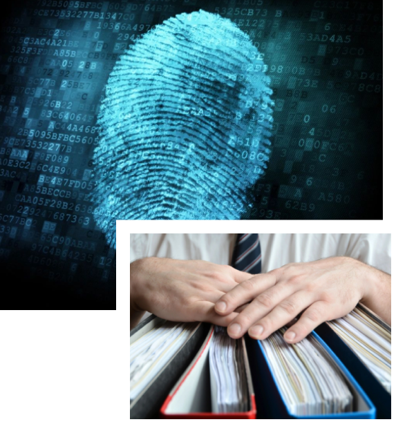 Fingerprint and Spreadsheets